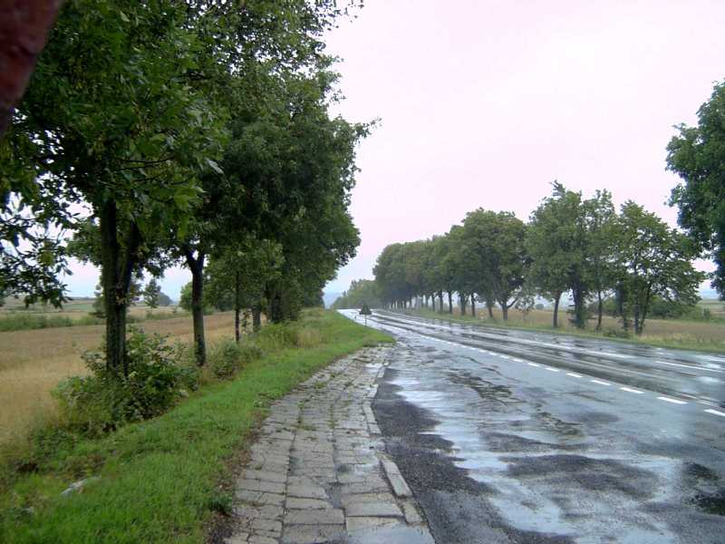 Polish countryside